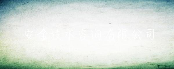 安全技术咨询 构建数字时代的坚固防线